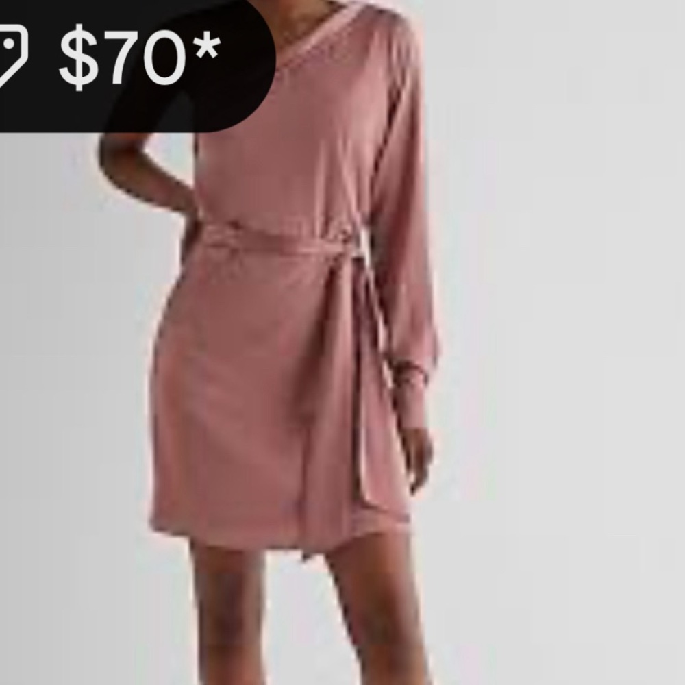 Express Pink Silk Dress